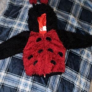 Fuzzy Ladybug Costume